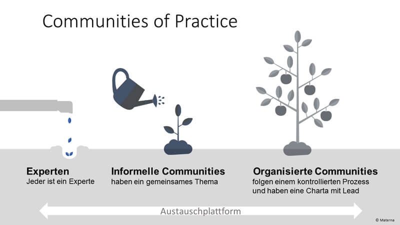 Community-of-Practice Schaubild